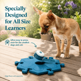 Pet Clickers 6 Buttons + 3 HexTiles (Bold) Recordable Pet Communication ...