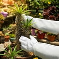 thumbnail image 6 of Long-Gardening-Gloves for Women/Men - Thorn Proof Cowhide Leather Rose/Blackberry Pruning Heavy Duty Gloves Thick Palm Gauntlet Garden Work Gloves with Forearm Protection (White-X-Large), 6 of 7