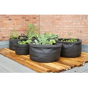 SMART POT 45 Gallon Fabric Grow Bag - Black