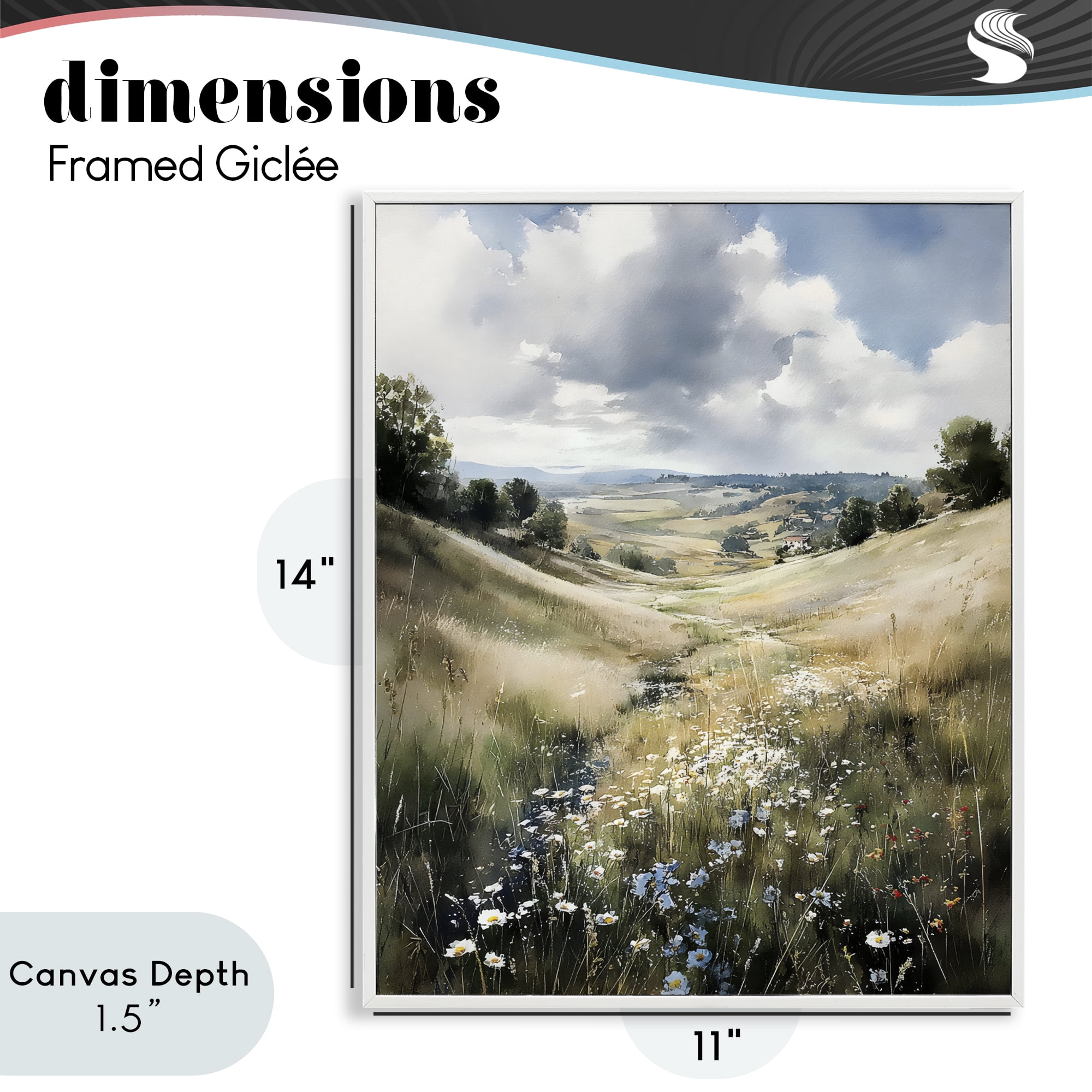 Stupell Industries Floral Valley of Wild Daisies White Framed Giclee Art, design by Franklyn Gregory
