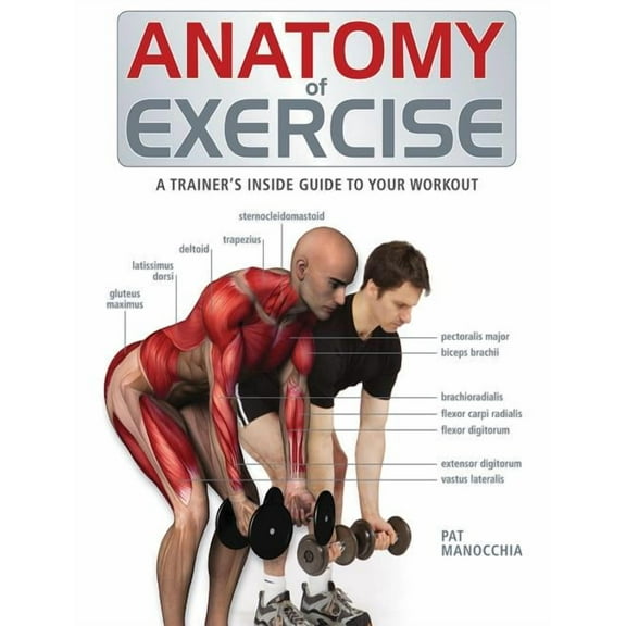 Anatomy of Anatomy of Exercise: A Trainer's Inside Guide to Your Workout, (Paperback)