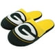 Green Bay Packers NFL Pantoufles de Logo de la – image 1 sur 1