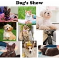 thumbnail image 2 of Mumup 1Pack Small Dog Collars for Female Dogs, Cute Bling Rhinestone Crystal with Bow Tie, Sparkly Glitter Jewel Diamond Puppy Collar for XS, Small, Medium Pet Girls, 2 of 4
