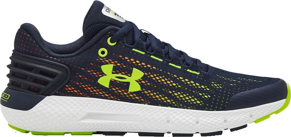 grade school ua charged rogue