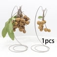 thumbnail image 4 of Billuyoard Elegante gancho de soporte de árbol de plátano de acero inoxidable para decoración creativa del hogar Organizadores de utensilios de cocina, 4 of 6