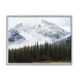 thumbnail image 5 of Stupell Industries Snowy Mountain Top Tall Fir Trees Modern Photography, 30 x 24,Design by Jennifer Henriksen, 5 of 5
