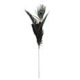 thumbnail image 2 of Northlight 22.75" Black and Green Plumage with Peacock Feather Christmas Pick, 2 of 2