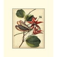 thumbnail image 3 of Vision Studio 15x17 Black Modern Framed Museum Art Print Titled - Petite Dragonflies III, 3 of 5