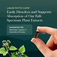thumbnail image 6 of Gaia Herbs Turmeric Supreme Extra Strength - 616 mg Organic Turmeric Curcumin Supplement with Black Pepper - Supports Occasional Discomfort from Normal Wear & Tear* - 60 Vegan Liquid Phyto-Caps, 6 of 9