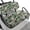 Camouflage, variant on HUIACONG Purple Camouflage Print Universal Golf Cart Blanket Seat Covers for EZGO TXT RXV Golf Cart Bench Seat, Soft Machine Washable Golf Cart Seat Covers 2 Pack