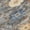 Pewter, variant on Addison Rugs Chantille Indoor/Outdoor Transitional Floral Pewter Machine Washable Rectangle Rug, 10' x 14'