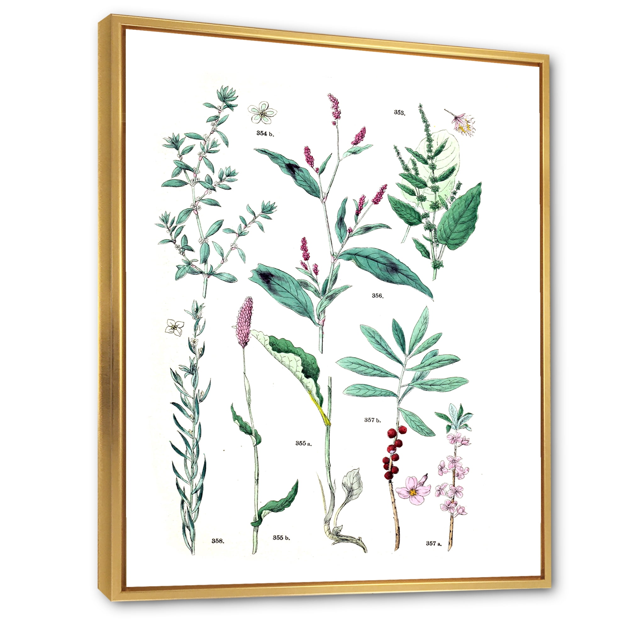 Designart 'Ancient Plants' Traditional Framed Canvas Wall Art Print
