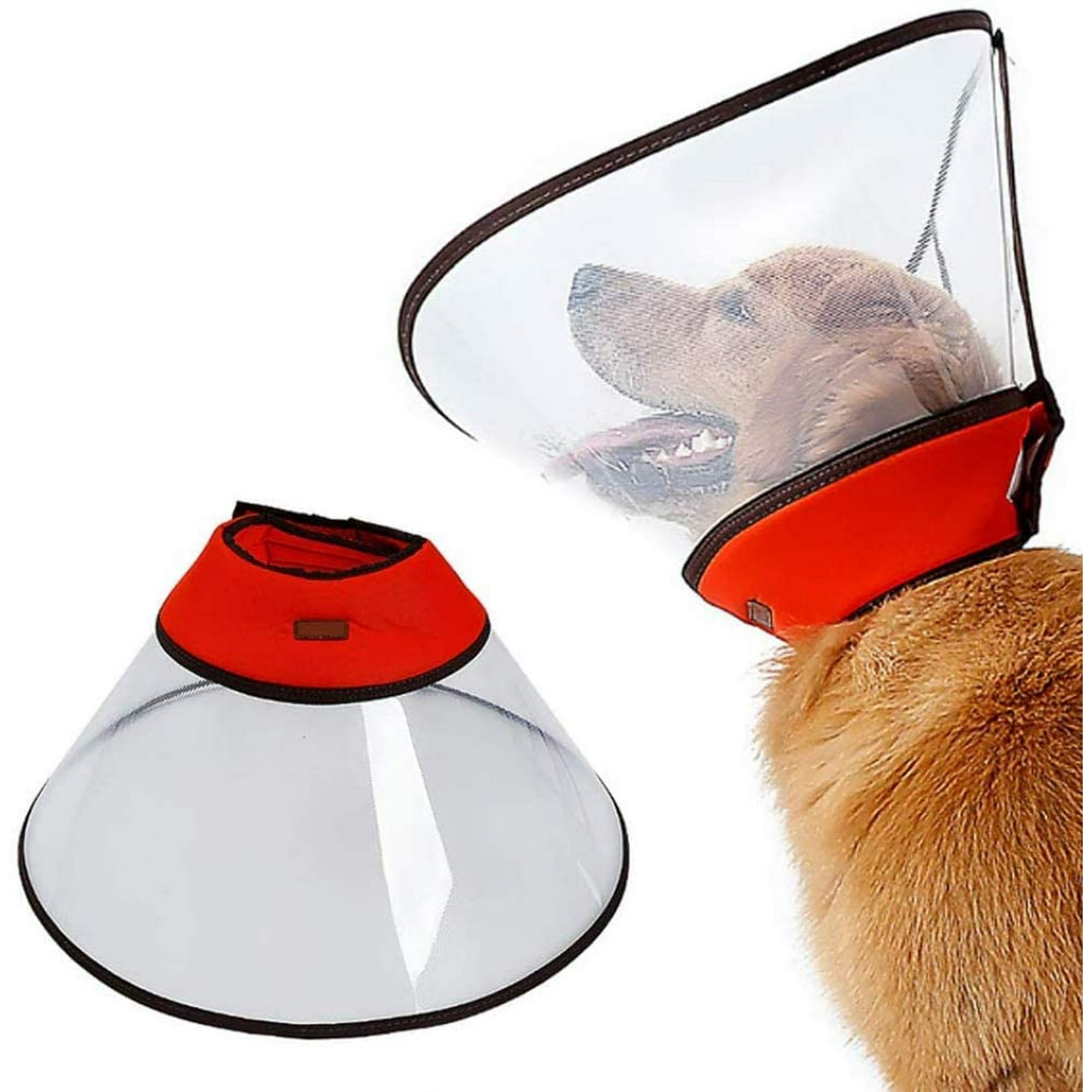 What Size Cone Should I Get For My Dog