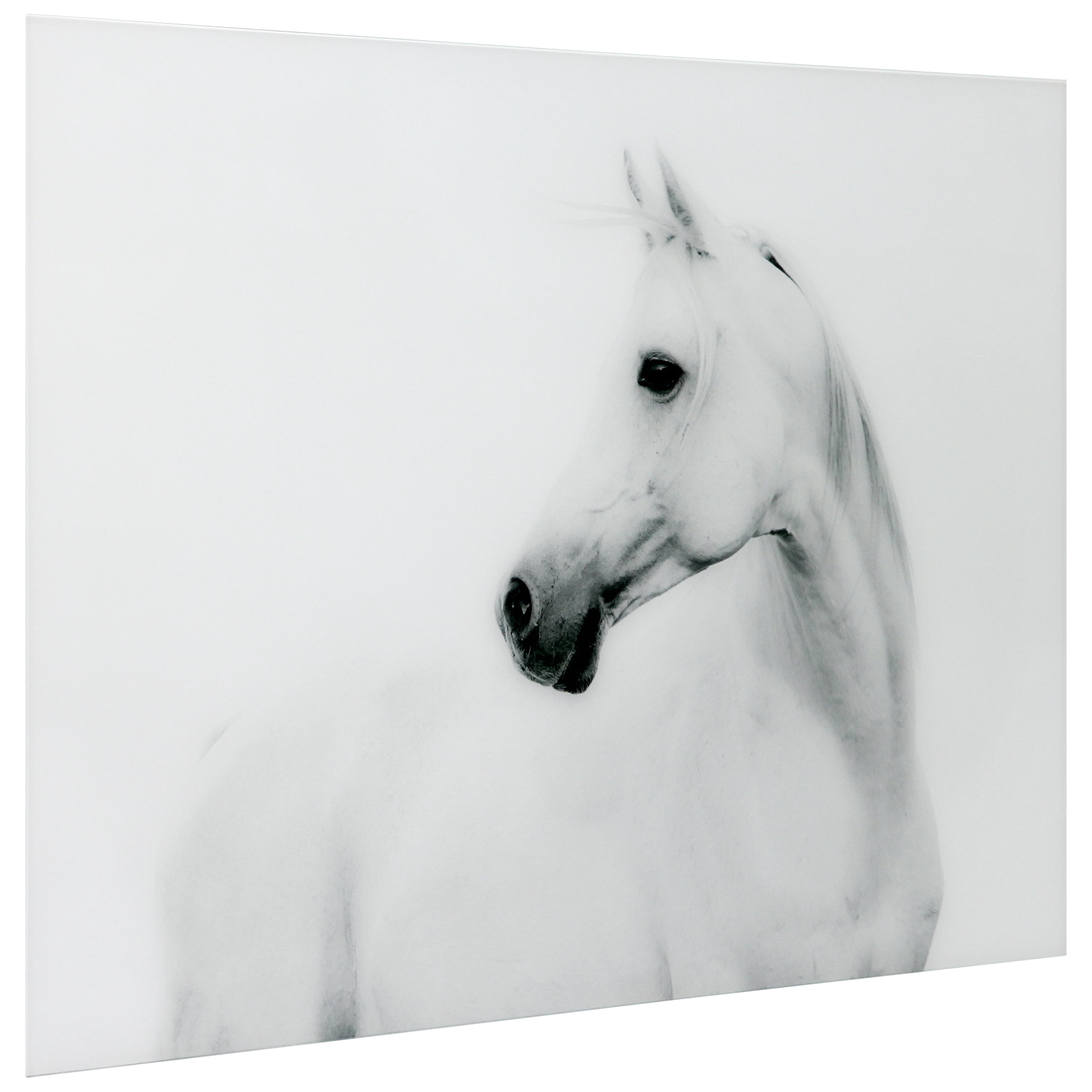 Empire Art Direct Blanco Stallion Horse Frameless Free Floating Tempered Glass Panel Graphic Wall Art, 48" x 32" x 0.2", Ready to Hang
