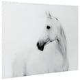 thumbnail image 3 of Empire Art Direct Blanco Stallion Horse Frameless Free Floating Tempered Glass Panel Graphic Wall Art, 48" x 32" x 0.2", Ready to Hang, 3 of 9