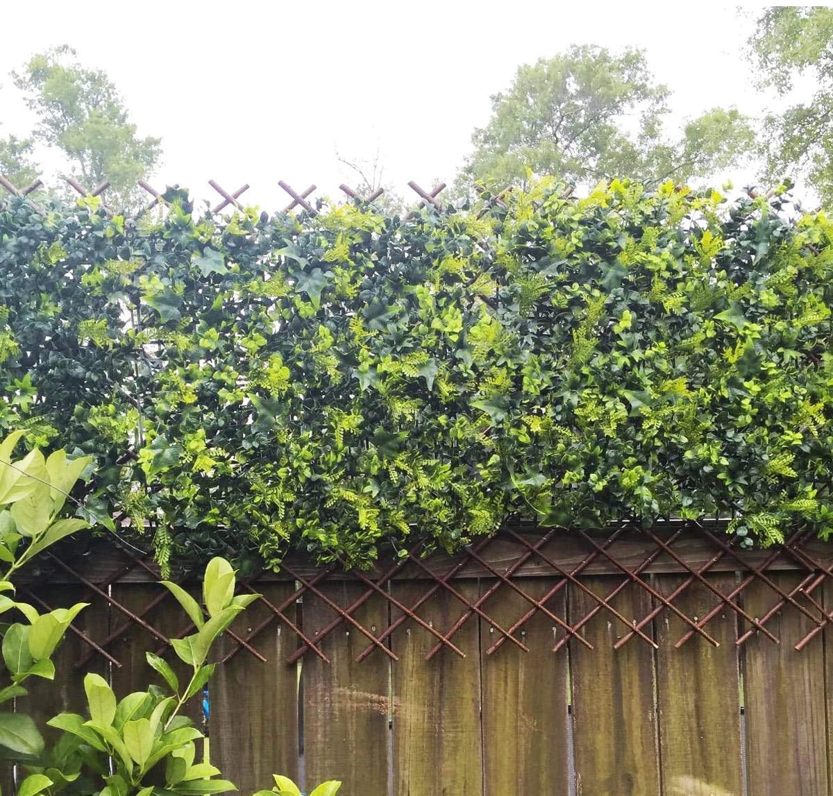 Expandable Lattice Fence Panel Plant Support Garden Trellis for Climbing Plants Vine Ivy Rose Cucumbers Clematis Outdoor Yard, 36x92 Inch 2-Pack