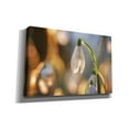 thumbnail image 2 of Epic Graffiti 'Shining Beauty' by Martin Podt, Canvas Wall Art, 18"x12", 2 of 2