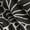 Black, variant on Gracia womens Eyelet Embroidered Tie-Front Top, s, Black