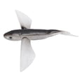 thumbnail image 1 of Bright Colors Flying Fish Shape Artificial Lure for Seawater Boat Fishing, Strong and Durable Soft Silicone Lure With Fish Like Appearance, Wide Application Range, Light Weight, 1 of 7