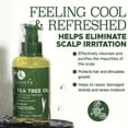 thumbnail image 3 of Sérum capilar Luseta, aceite de árbol de té revitalizante, 100 ml, no destiñe, 3 of 7