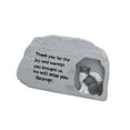thumbnail image 2 of DOLITY Urne Décorative pour Animaux de Compagnie Décoration Commémorative pour Jardin Intérieur pour Chats, 2 of 9