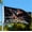 Eagle Black, variant on 250th Anniversary Flag 3 x 5 Ft Eagle Outdoor Flag with Durable Canvas Header and Brass Grommets Decor for Outdoor Front Door Porch Wall (250 Years)