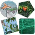 thumbnail image 2 of Filet Anti-Oiseaux Serre Potager Arbre Fruit Maille Filet Évent Housse, 2 of 9
