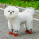 thumbnail image 5 of Ropa para mascotas Calcetines para perros y gatos Cálidos, cómodos y transpirables Protector para perros pequeños, medianos y grandes, 5 of 5