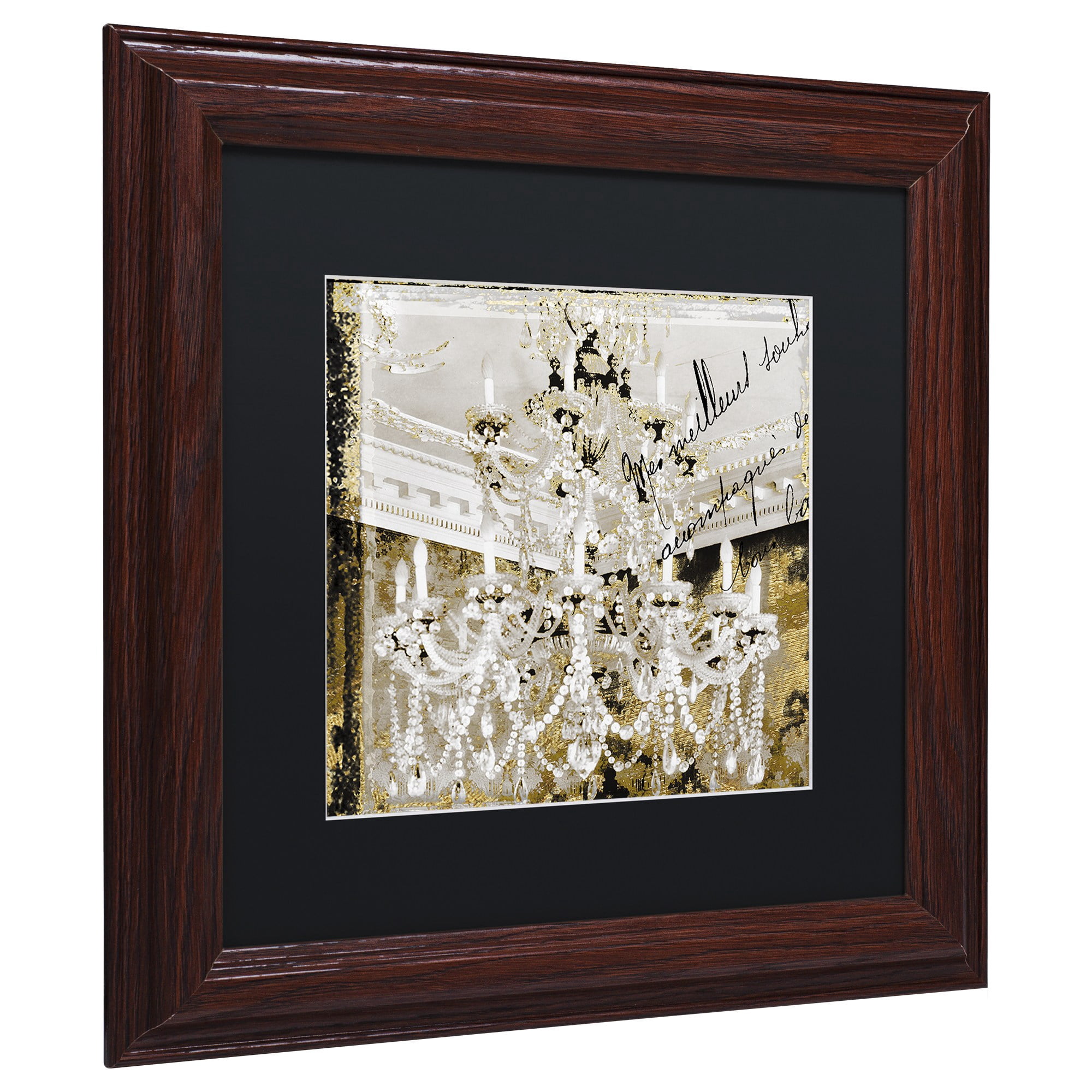 Trademark Fine Art "Chand 2" Canvas Art by Color Bakery, Black Matte, Wood Frame