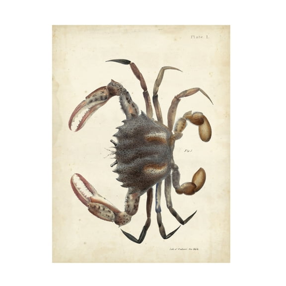 DeKay 'Vintage Crab I' Canvas Art