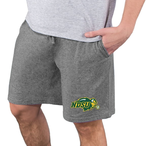 Men's Concepts Sport Charcoal NDSU Bison Quest Knit Jam Shorts