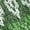 Green, variant on Women's Ethnic Pattern Knit Cardigan Crew Neck Loose Long Sleeve Button-Front Sweater Soft Acrylic Ethnic Style Open-Front Top