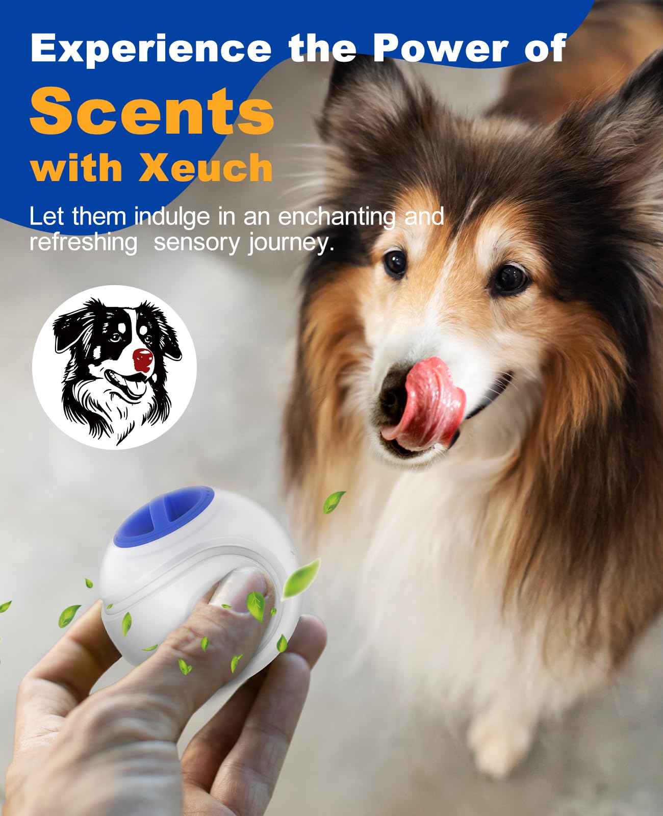 LED Light Up Dog Ball Toys, Rechargeable Bounce-Activated Durable Fetch Ball, Natural Rubber, 2.5 inches
