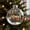 E, variant on The Christmas Reindeer Family Traditions Ball, 3D Reindeers Collection Crystal Sports Ornament Set, Deer Antler Whimsical Ornament Reindeer Gifts, Luxury Winter for Tree Tabletop Décor Gifts
