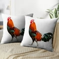 thumbnail image 3 of LALILO Throw Pillow Covers Rooster White Agriculture Animal Beautiful Bird Brown Chicken Colorful Cute Eye Farm Set of 2 Square 18 x 18 Inch Pillowcase, 3 of 5