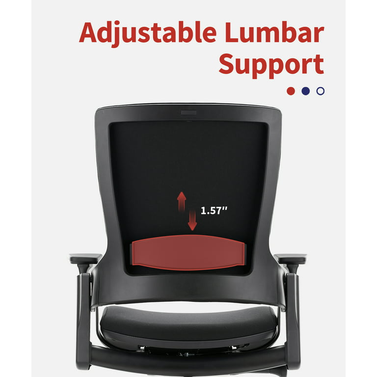 Aaron Living Ergonomic Office Chair Back Lumbar Support