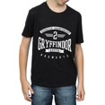 thumbnail image 3 of Harry Potter Boys Gryffindor Keeper T-Shirt, 3 of 5