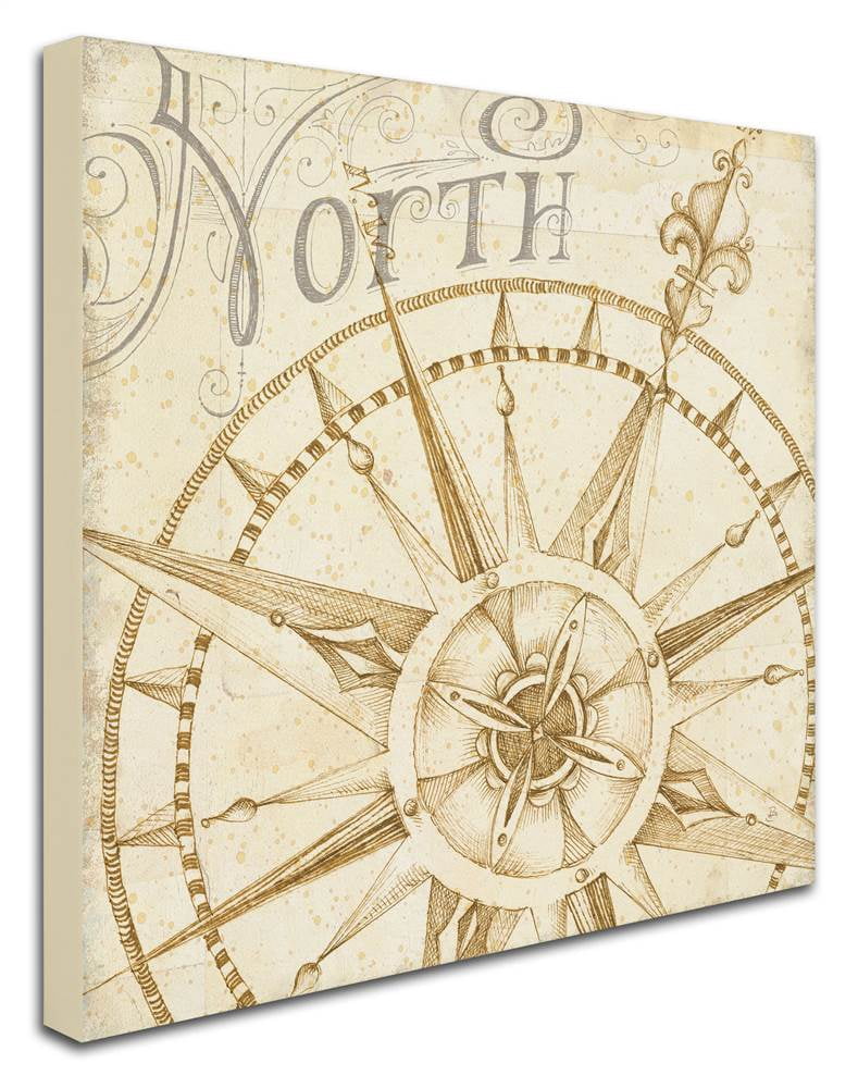 Trademark Fine Art "Coast to Coast Sepia I" Canvas Art by Daphne Brissonnet
