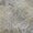 Wheat, variant on Addison Rugs Mayfield Premium Machine Washable Transitional Floral Wheat Rectangle Rug, 10' x 14'