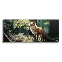Stupell Industries Fox in Sunlit Forest Animals & Insects Photography Gallery Wrapped Canvas Art Print Wall Art, 30 x 13