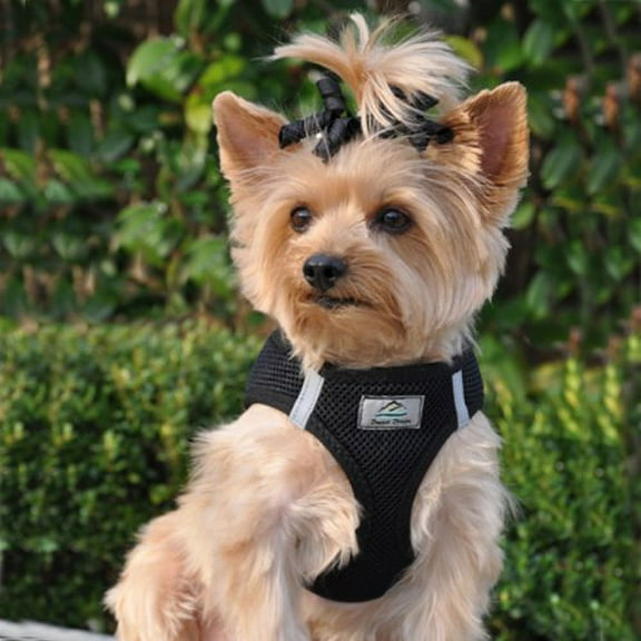 American River Choke Free Reflective Dog Harness, Black, Small