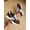Brown, variant on Shoes Retro Chunky Sneakers Instep Bulky Running Sneakers For Women, Shoes For Women