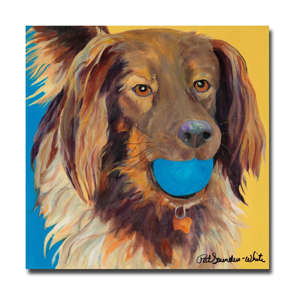 Trademark Art "Caleigh" Canvas Wall Art by Pat Saunders-White