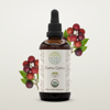 HerbEra Camu Camu Tincture, Organic Herbal Dietary Supplement for Antioxidant Support, Certified Organic Camu Camu (Myrciaria dubia) Dried Fruit Extract, Natural, Alcohol-Free, Drops 4 oz