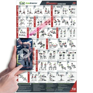 QUICKFIT Dumbbell Workouts and Barbell Exercise Poster Set - Laminated ...