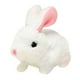 thumbnail image 1 of Juguete electrónico de conejo de peluche, juguete interactivo de textura suave, juguete interactivo para bebé JShteea El nuevo, 1 of 9