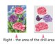 thumbnail image 3 of flor diy 5d pintura diamante bordado kit de punto de cruz decoración del hogar peonía Sunnimix Pintura del diamante 5d bricolaje, 3 of 8
