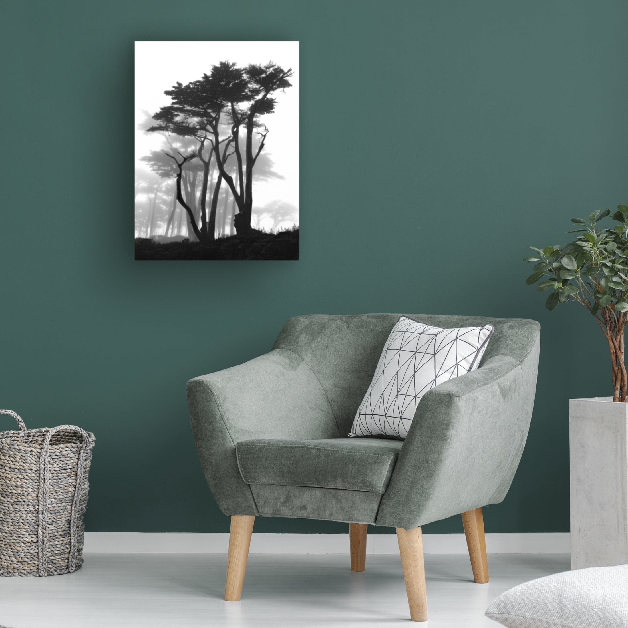 Trademark Fine Art Samuel Vovsi California Pines in Fog Canvas Wall Art