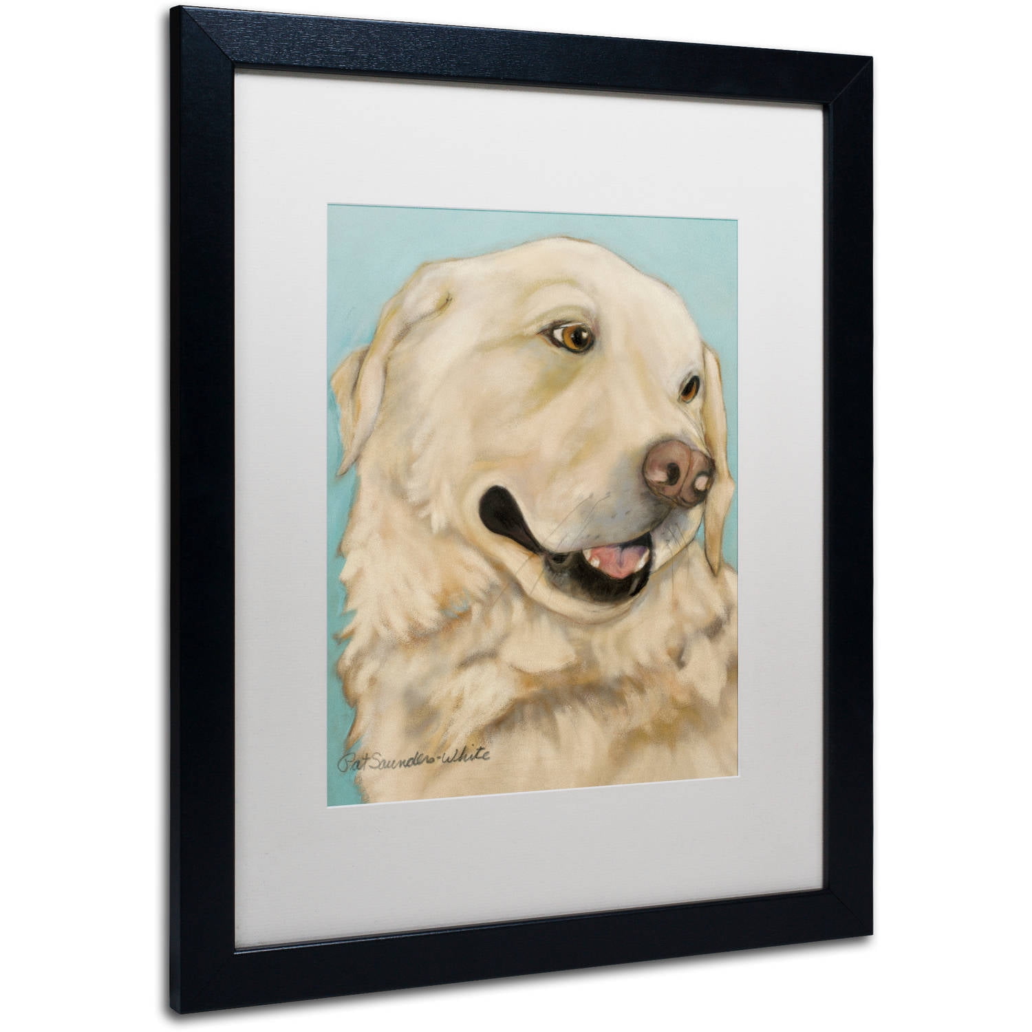Trademark Fine Art "Jasper" Canvas Art by Pat Saunders-White, White Matte, Black Frame