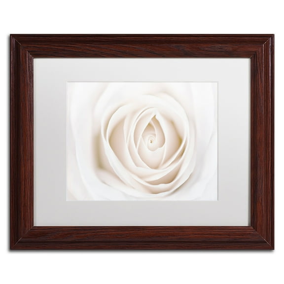 Trademark Fine Art 'White Rose' Canvas Art by Cora Niele, White Matte, Wood Frame